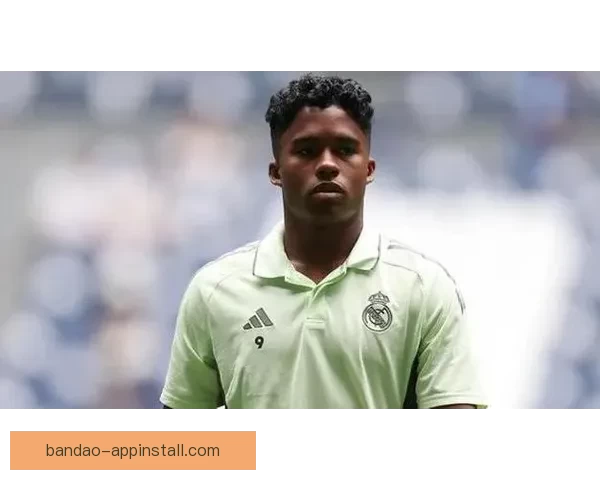 若恩德里克冲刺在即里昂命运或迎巨大转折